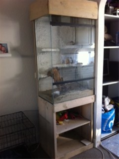 Mooi groot terrarium