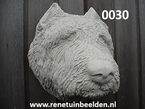 Bouvier hoofd. nr 0030.