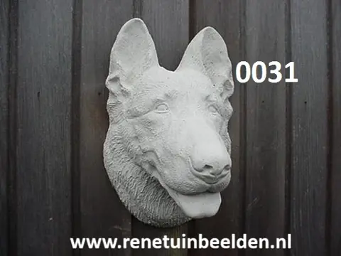 Herders hond hoofd. nr 0031