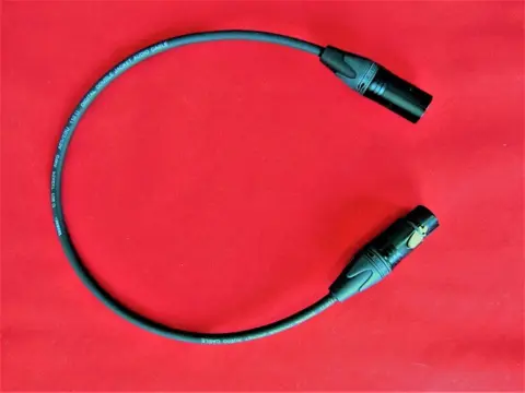 Digitale (S/PDIF) RCA interlink / interconnect.