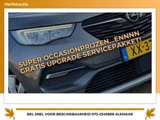 Opel Grandland X 1.2 Turbo Business Executive - Moonstone Grey - 19''/Carplay/Electr.klep