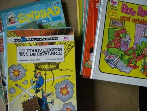 Diverse stripboeken adv. 370