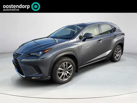 Lexus NX 300h AWD Business-line