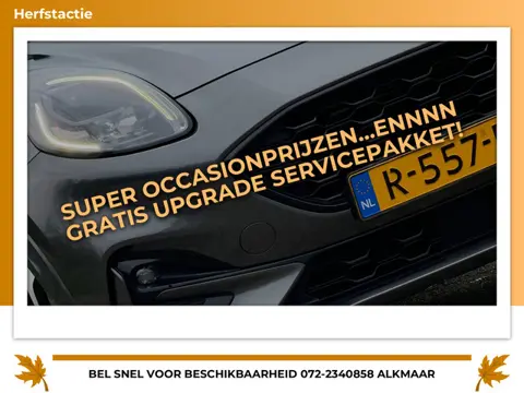 Ford Puma 1.0 EcoBoost Hybrid ST-Line - Magnetic Grey - Virtual/Winterpakket/Carplay