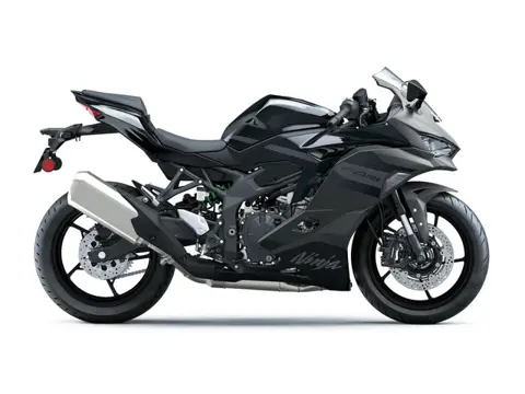 Kawasaki ZX-4RR (bj 2027)