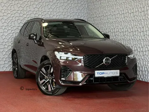 Volvo XC60 2.0 T8 455PK AWD PLUS DARK NIEUWE AUTO HARMAN KARDON 360.CAM STOEL/STUUR VERW LEER MULBER