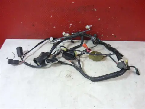 KABELBOOM Honda CBR 600 FS Sport 2001 - 2004