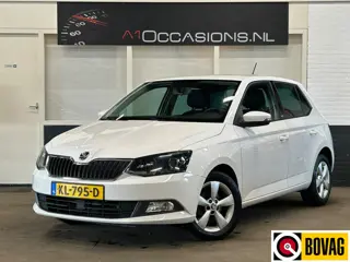 Škoda Fabia 1.2 TSI JOY (bj 2016)