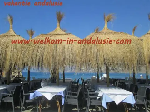 Vakantiehuis met wifi internet en zwembad spanje