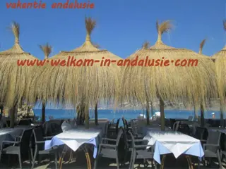 Vakantiehuis met wifi internet en zwembad spanje