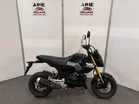 Honda MSX 125 (bj 2026)