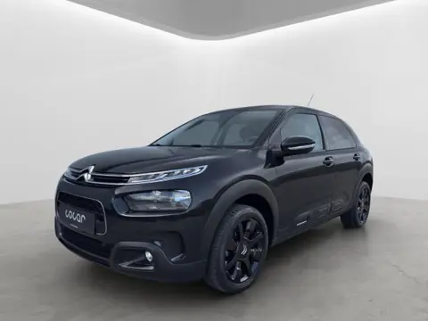 CITROEN C4 CACTUS 1.2 PURETECH SHINE, Carplay,Trekhaak,Camera