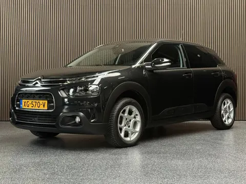 Citroen C4 Cactus 1.2 PureTech Business | Carplay | Camera | Riem vervangen