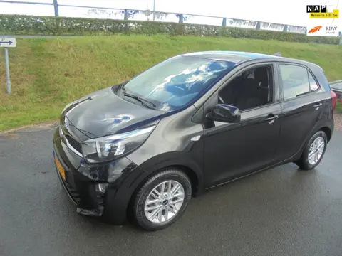 Kia Picanto Kia Picanto 1.0 Benzine Automaat airco lmv Camera 64.000km eerste eigenaar