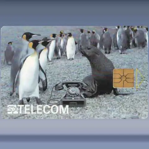 Penguins (1996)