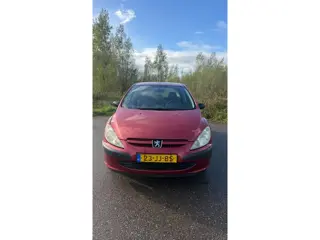 Peugeot 307 1.4 XR (bj 2002)