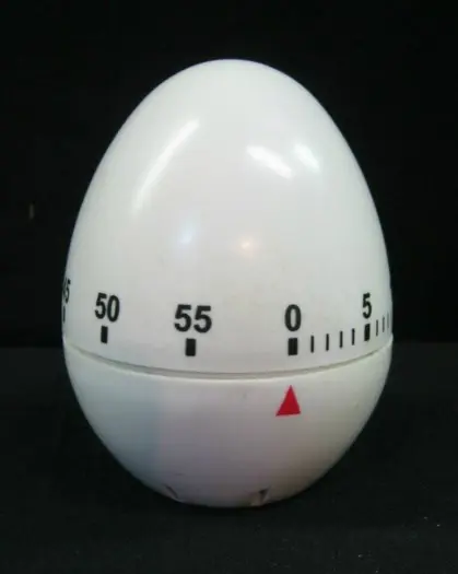 Kookwekker in eivorm,zgan,max 60 min,belalarm,7.5 cm hoog