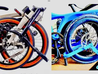 Riese Birdy Müller Brompton Vouwfietsen Gezocht als op Foto