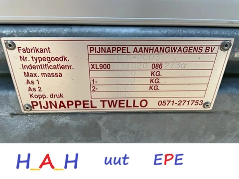 PIJNAPPEL PTA 2003 / Bjr.: 2024 = 1ste eigenaar 3-2025