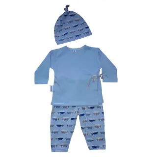Newborn babykleding vanaf maat 38