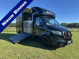 Mercedes-Benz 317 Sprinter AMG XXL 2-paards paardenvrachtwagen B-rijbewijs