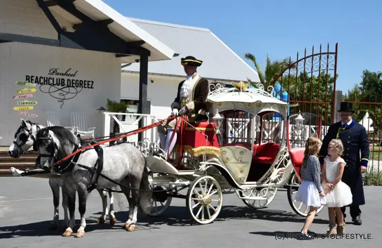 Sprookjes/cinderella koets te huur