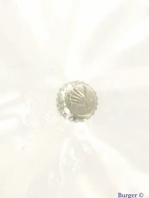 Rolex Crown