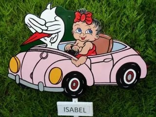 Geboortebord baby in auto geweldige keuze