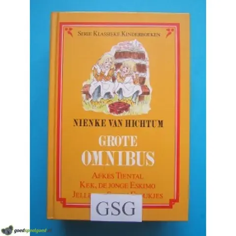 Nienke van Hichtum grote omnibus nr. 3729-02