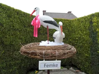 Geboortebord / raam / tuin / gevel / ooievaar + nest