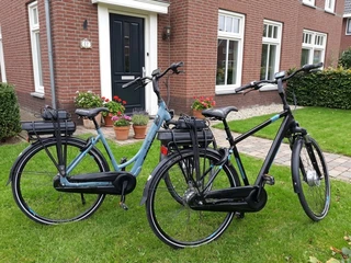 Giant Ease Set framemaat 50 cm 400 WH accu