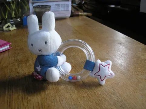 NIJNTJE rammelaar / bijtring