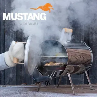 Mustang RVS elektrische rookoven / rookton met thermostaat