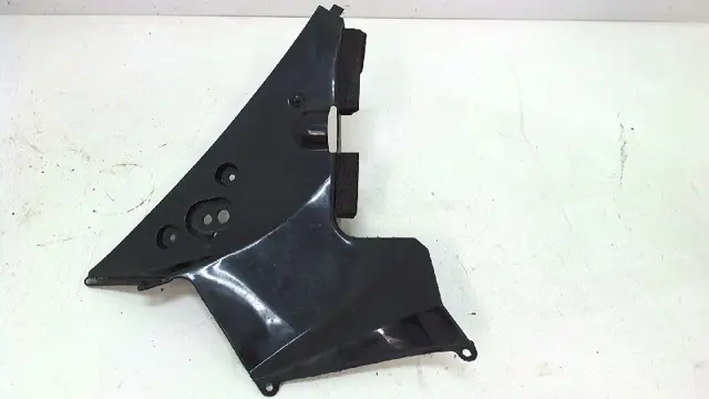 RECHTER ACHTERKANT Honda CBR Fireblade 2000 - 2001