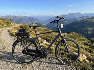 Giant Entour -E Framemaat 60 cm 500 Wh accu