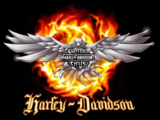 Harley - Davidson -BUELL