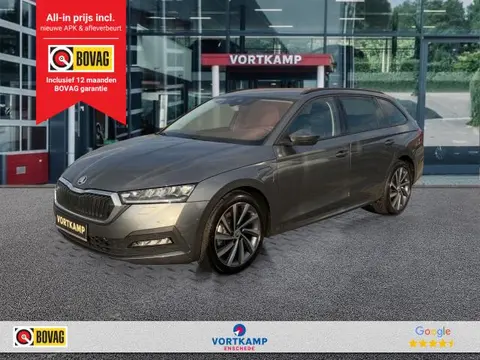 SKODA OCTAVIA 1.4 TSI iV AMBITION CAMERA/CRUISE/STOEL+STUURVERW/CARPLAY