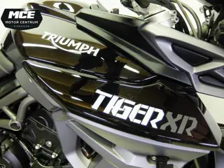 Triumph Tiger 800 XR (2018)
