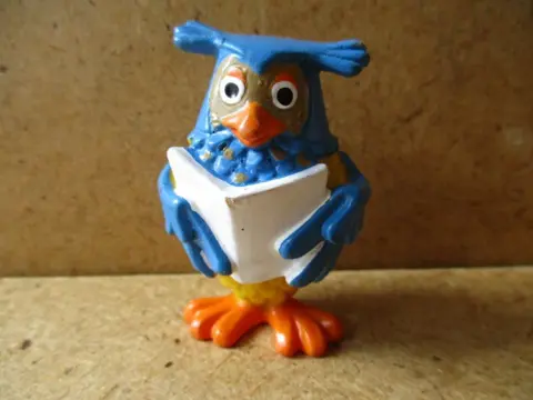 Meneer de uil adv7981