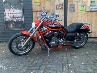 Harley Davidson VRSCSE2 CVO SCREAMIN EAGLE V-ROD 2 GCBBS0