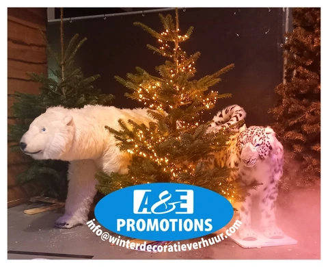 huur winter wonderland aankleding heerenveen groningen info@winterdecoratieverhuur.com