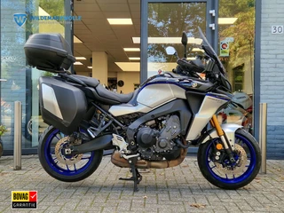 Yamaha Tracer 9 GT + Plus