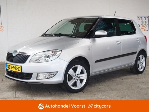 Skoda Fabia 1.2 TSI Ambition 86PK Cruise (APK:Nieuw) Incl.Garantie
