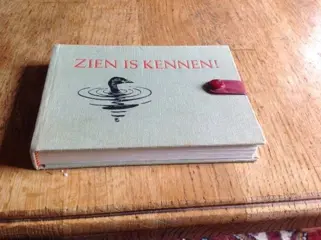 Binsbergen / mooij, ill rein stuurman - zien is kennen