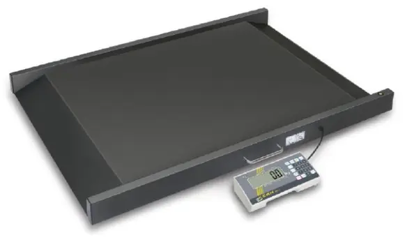 Rolstoel/personenweegschaal. KERN MWS 300K100M t/m 400kg