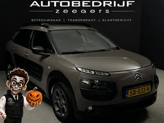 Citroën C4 Cactus 1.2 PureTech Shine *Navi*AC*Well-Kept*NAP*