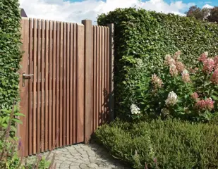 Poort Patio poort verticaal: 180 x 300