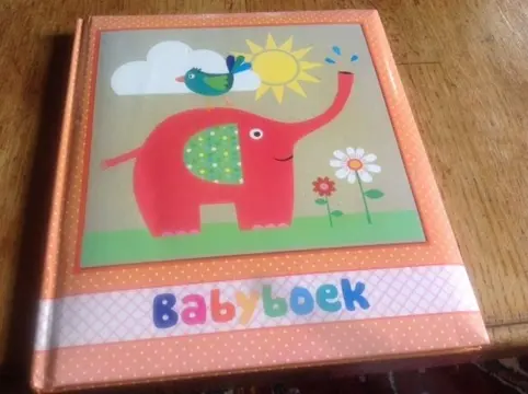 Babyboek - Een foto- en invulboek om te koesteren