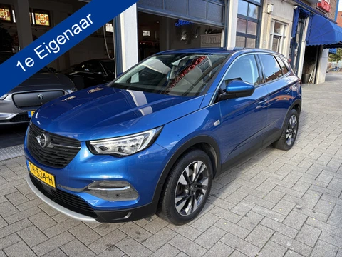 Opel Grandland X 1.2 Turbo Business Executive NL AUTO/1E EIG./FULL OPTIONS/TOPSTAAT