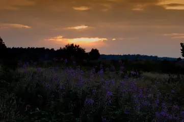 Wil jij anderen graag echt ont-moeten?